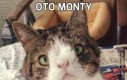 Oto Monty