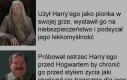 Harry Max Potterko
