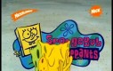 Spongebob od tyłu