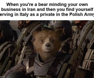 Jedyny miś w swoim rodzaju
