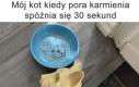 Drama queen