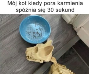 Drama queen