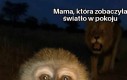 A już wygrywałem turniej Gwinta!
