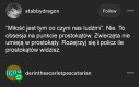 Ludzie kochają prostokąty, rozejrzyj się