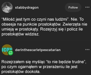 Ludzie kochają prostokąty, rozejrzyj się