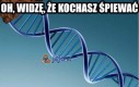 Kochasz śpiewać?