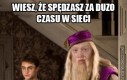 Ron Dumbledore