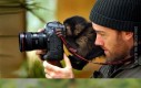Zwierzęta, które interesują się fotografią