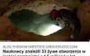 Dość