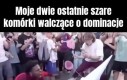 Ciekawe, która wygra