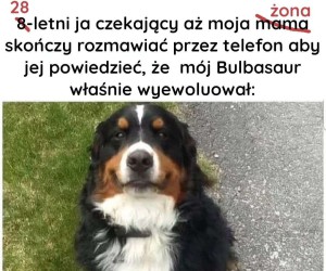 Wbrew pozorom mąż idealny