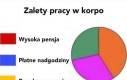 Nic tylko pracować