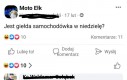 Lokalne przekomarzanki