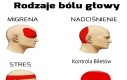 Kontrola biletów