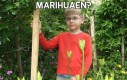 Marihuaen?