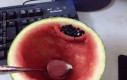 Jak jeść arbuza