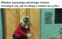 Wszędzie ta betonoza
