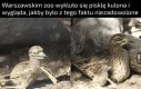 Wszyscy wiemy co czuje