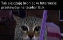 Jestem najwierniejszym rycerzem Blik