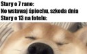Daję odpocząć powiekom