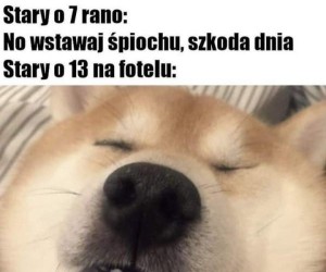 Daję odpocząć powiekom