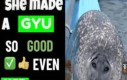 Gyu