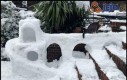 Śniegowy fort dla kota