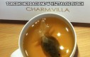 Torebki herbaciane w kształcie rybek