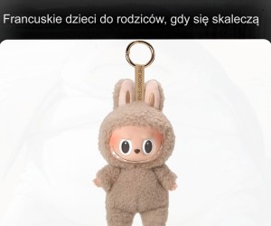 Szybka lekcja francuskiego