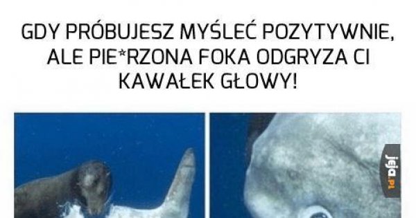 Życie Jest Do Dupy Jejapl 3098