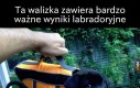 To są badania, jakich potrzebujemy