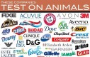 Te firmy testują na zwierzętach