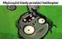 Patrz