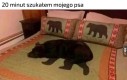 Ciekawe gdzie on jest?