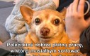 Ale max 1 z tych rzeczy naraz