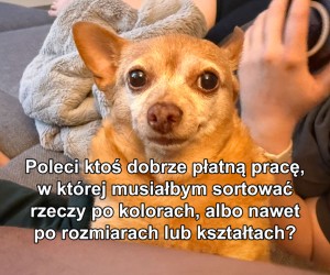 Ale max 1 z tych rzeczy naraz