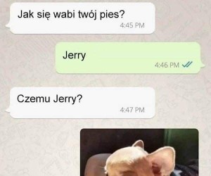 A, już kumam