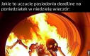 Stan mojej psychiki jest jak wnętrze Wielkiego zderzacza: 99,99% to pustka