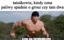 Głowa rodziny w akcji