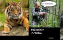 Przygody Putona