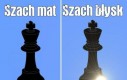 Szach mat, motherfucker!