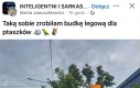 Taka ładna że każdy zwalnia, żeby się przyjrzeć