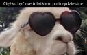 Lekko nie jest