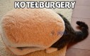Kotełoburgery