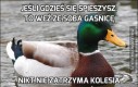 Jeśli gdzieś się spieszysz, to weź ze sobą gaśnicę