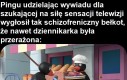 Pingu Posting