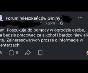 Małpka i 7zł za godzinę