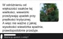 Miłego lotu!