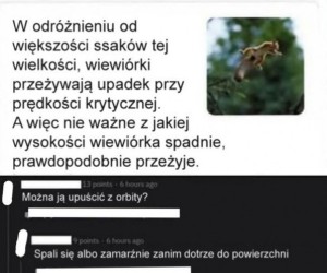 Miłego lotu!