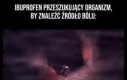 Przed wyruszeniem w drogę należy zebrać drużynę